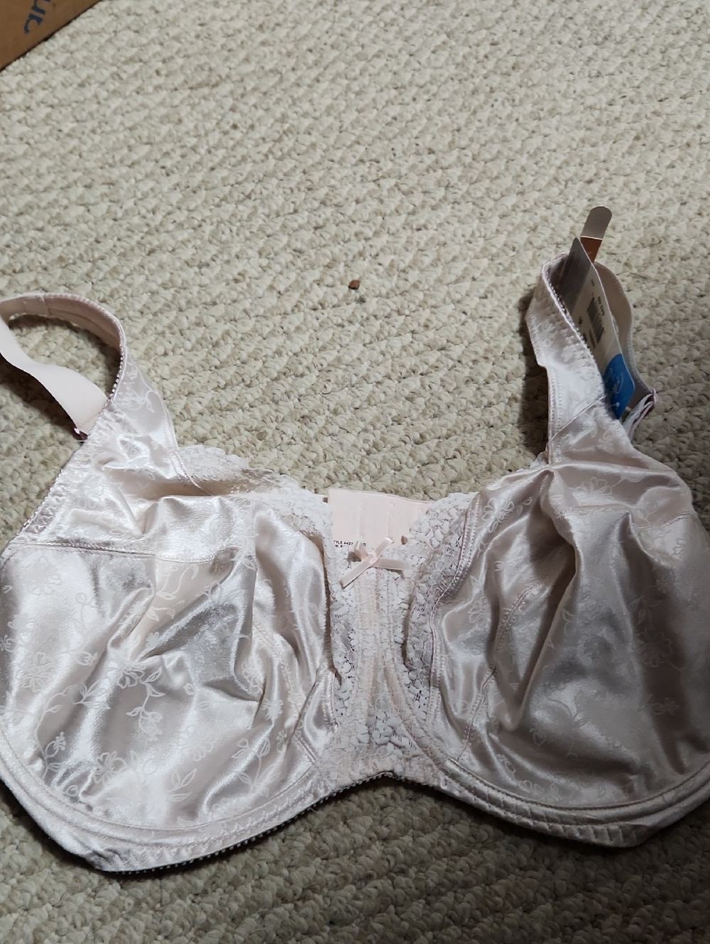 Light Blush Satin Underwire Bra with Lace Trim